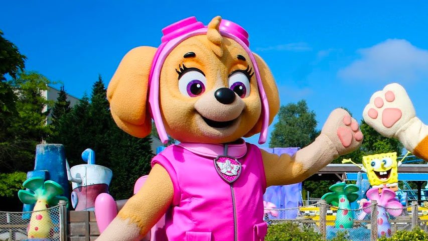 Skye (PAW Patrol) boeken bij Het Kidsburo